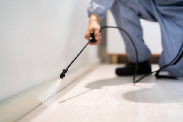 Licensed Bed Bug Control service in Roanoke, VA - Nex Pest Control