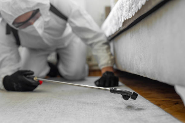 Professional Bed Bug Control technician working in Roanoke, VA