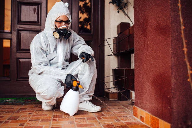 Reliable Bed Bug Control contractor in Roanoke, VA by Nex Pest Control